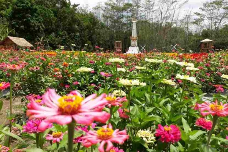 Kampung Flory Jogja: Harga Tiket dan Informasi Lokasinya