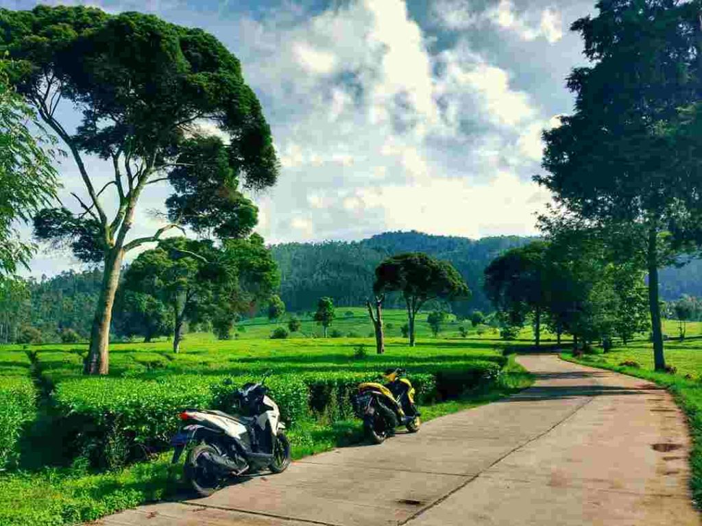 kertamanah pengalengan