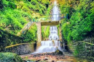 Air Terjun Tirtosari