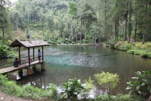 Candi Rambut Monte