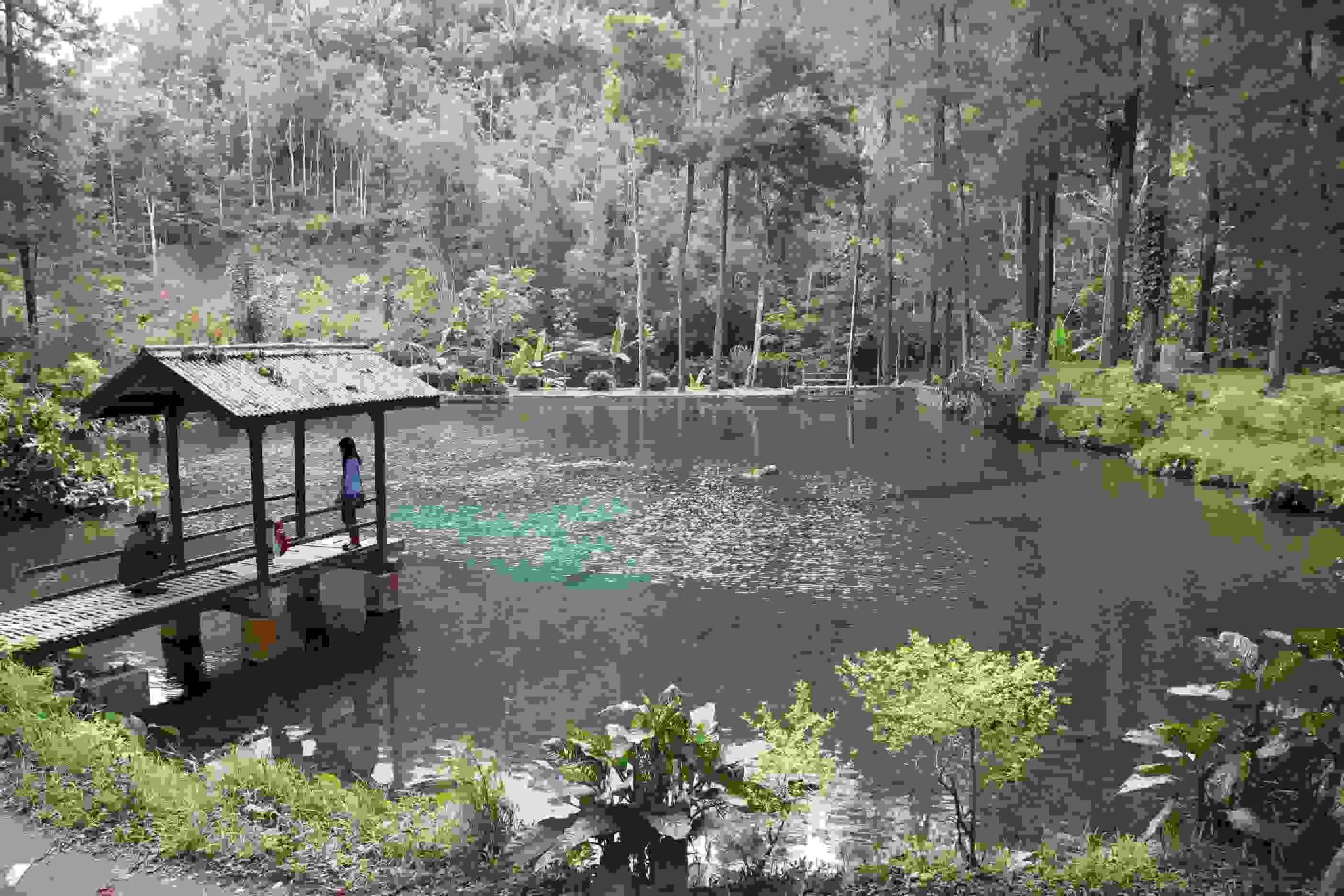 5 Tempat Wisata di Blora, Kunjungi Sebelum Akhir Tahun! – Belvania Trans