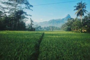 fakta unik Indramayu
