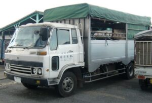 Jasa Angkut Pamenang Murah