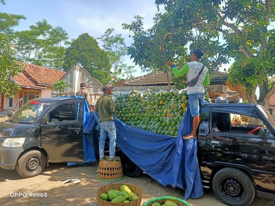 Jasa Angkut Subang Murah
